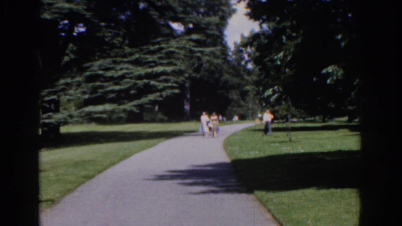 A wide 1961 Ireland park view shows a curving paved path, lawns, mature trees, and several distant walkers.
