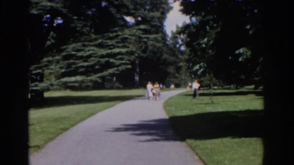 A wide 1961 Ireland park view shows a curving paved path, lawns, mature trees, and several distant walkers.