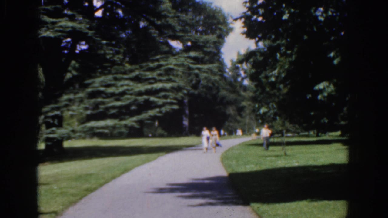 The closing frame holds on a landscaped park in Ireland, with people walking along a curved path beneath dense trees.
