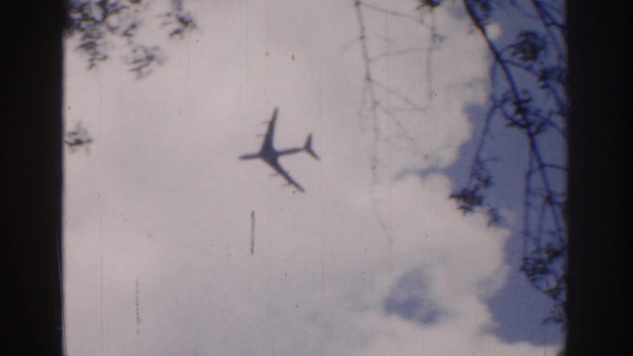 1961 Ireland 8mm frame with a small airplane silhouette in a pale cloudy sky, seen through dark tree trunks and overhanging branches.
