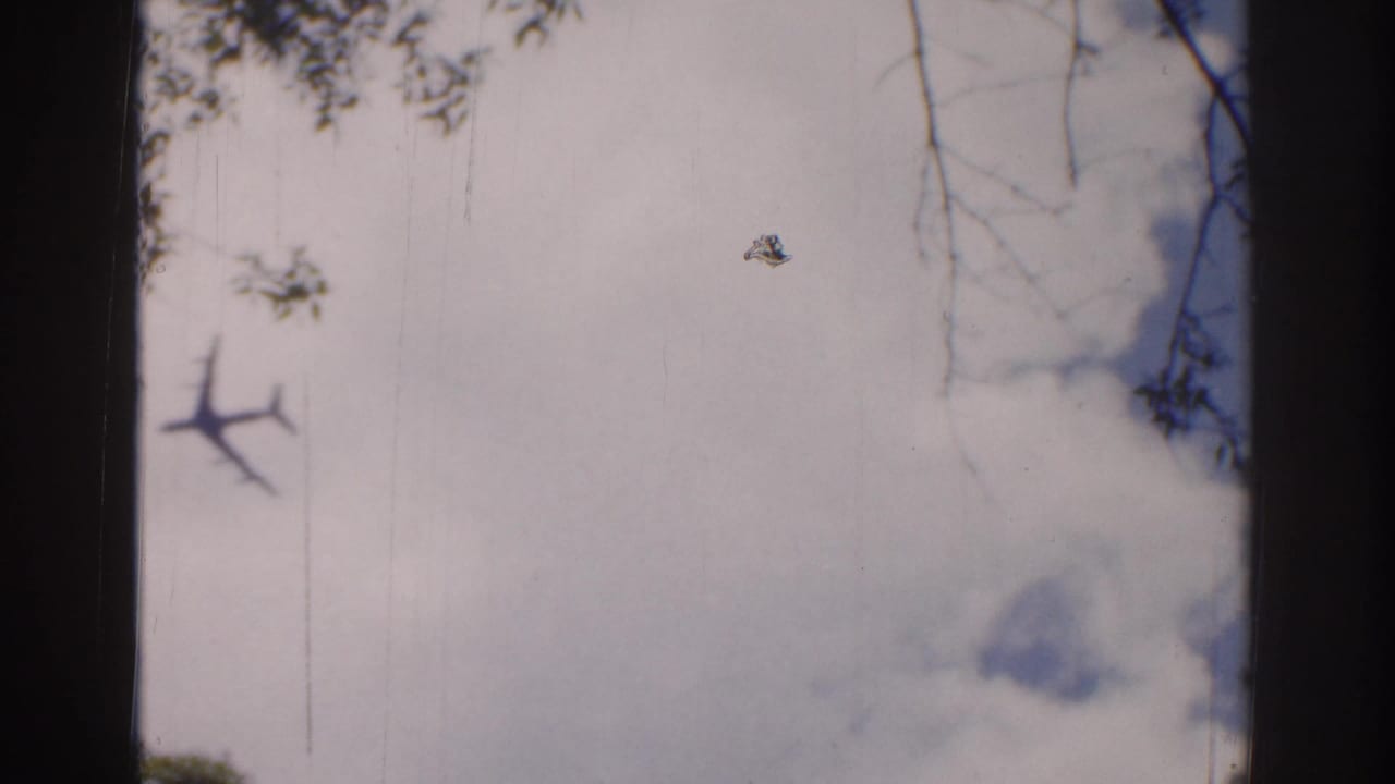 1961 Ireland 8mm frame showing a distant airplane against a pale sky with tree branches and dark vertical film-edge shadows.