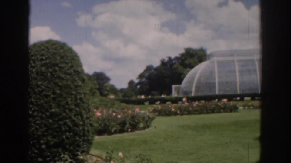 1961 Ireland garden view with a rounded hedge in the foreground and a glass greenhouse set behind flower beds and lawn.