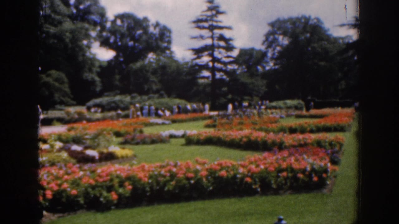 1961 Ireland home-movie view of a formal garden with rows of flowers, lawns, distant visitors, and tall trees seen through dark frame edges.