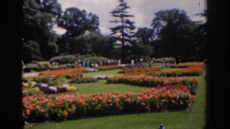 1961 Ireland home-movie view of a formal garden with rows of flowers, lawns, distant visitors, and tall trees seen through dark frame edges.