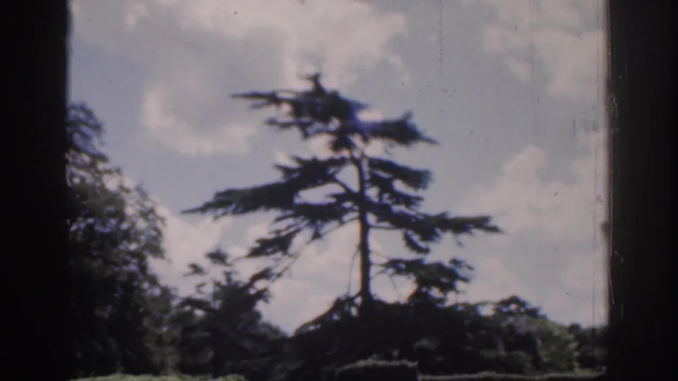 The camera holds on a tall evergreen and cloudy sky over garden shrubs, retaining the soft color and edge shadows of 8mm film.