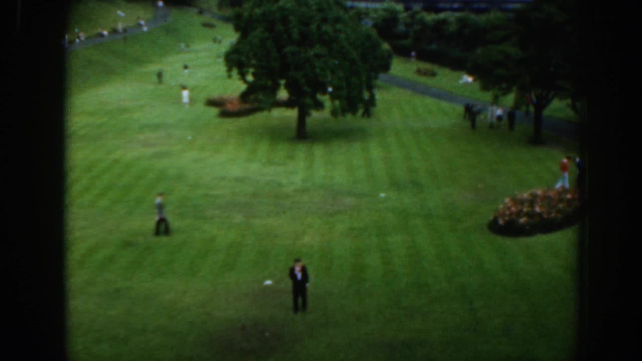 Wide elevated view of golfers and observers spread across a green lawn with trees and paths nearby.