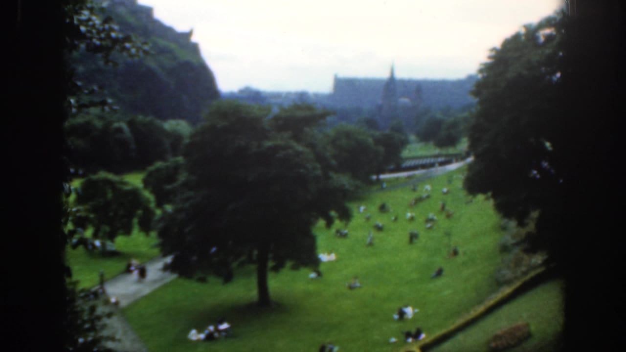 High-angle view over a green park with people on the grass and distant buildings beyond trees.