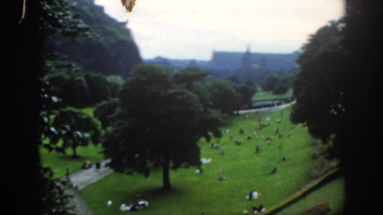 Green park seen from above with people seated on grass, paths, trees, and distant skyline.