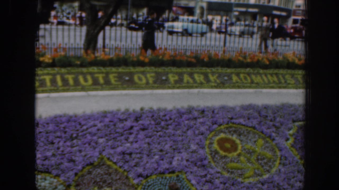 Purple floral carpet with planted lettering behind an iron fence and city traffic beyond.