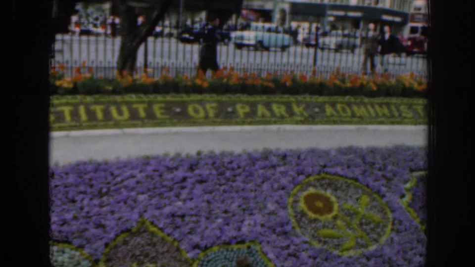 1961 Scotland home-movie frame showing a purple floral display, planted Institute of Park Administration lettering, railings, cars, and pedestrians.
