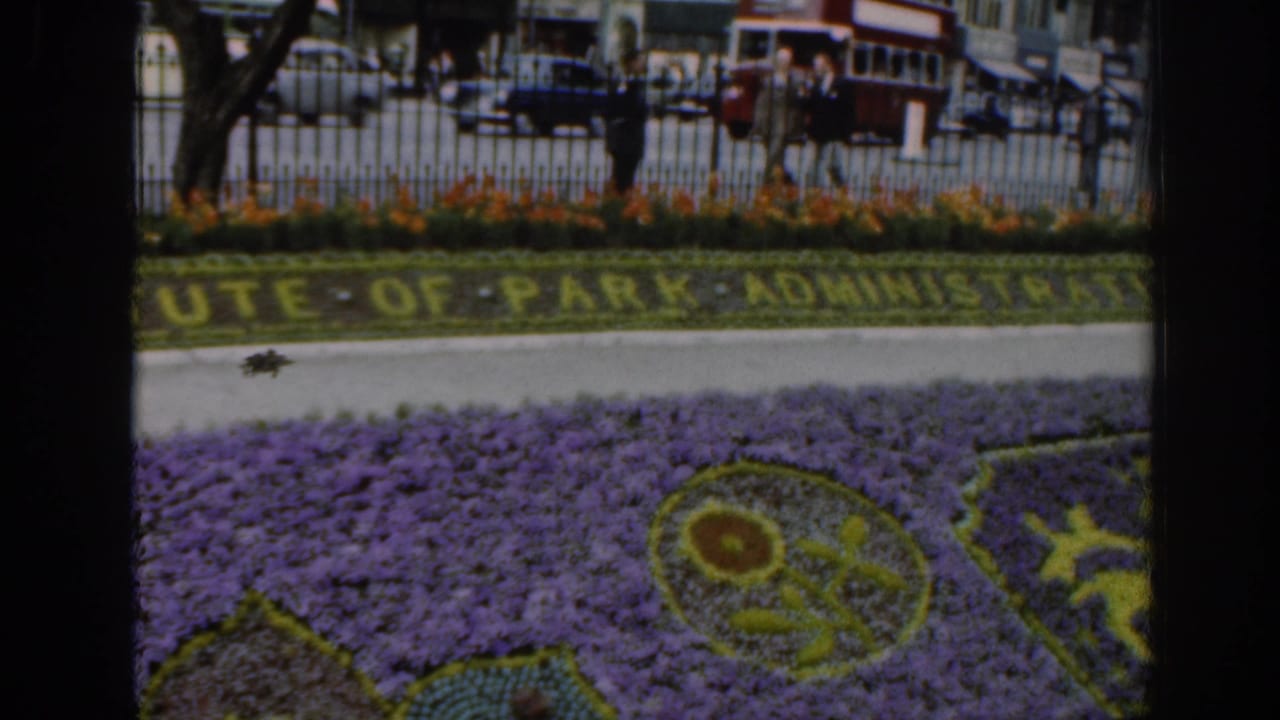 Flower bed and planted lettering with cars, pedestrians, and a red bus beyond the fence.