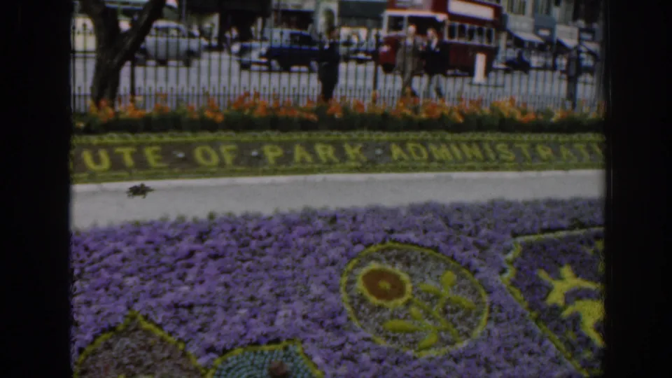 1961 Scotland frame with purple flowers, civic planted lettering, an iron fence, pedestrians, cars, and a red double-decker bus in the street.