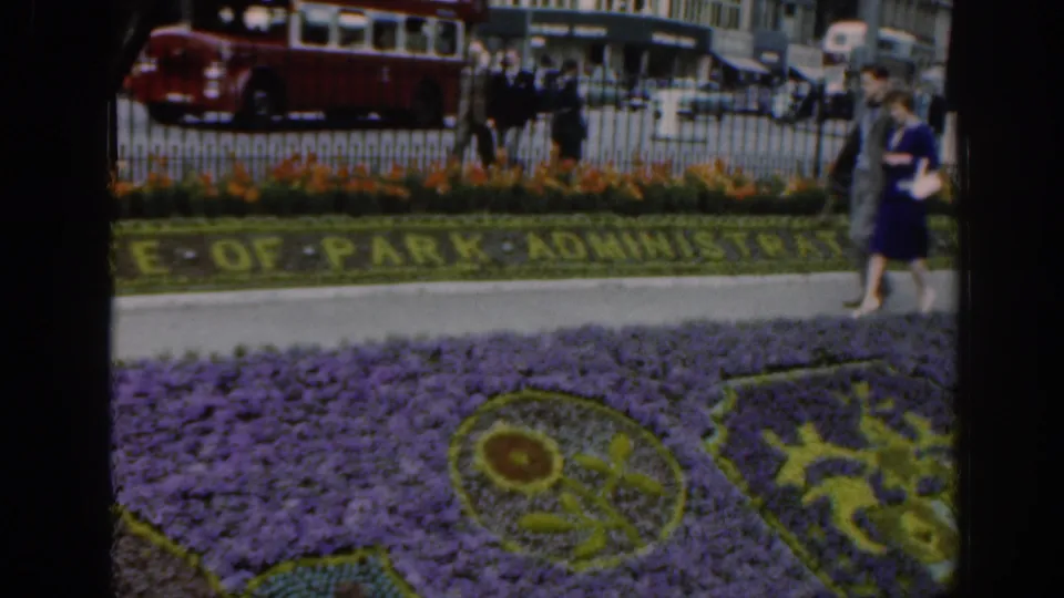 1961 Scotland home-movie view of pedestrians near a purple and yellow floral carpet, planted lettering, iron railings, and a red bus.