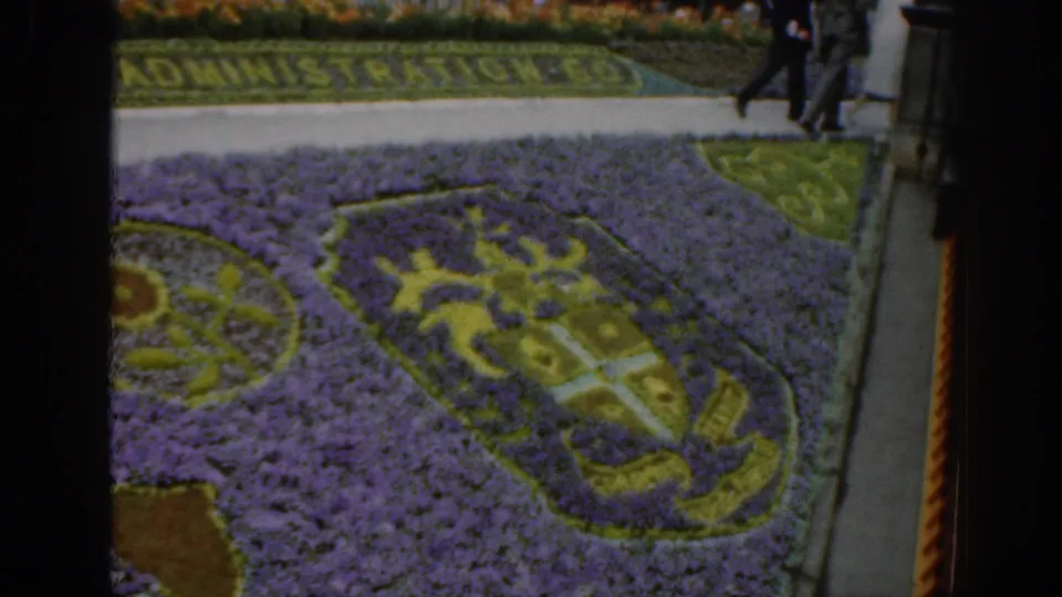 1961 Scotland frame showing a closer section of the purple floral carpet, yellow emblem, planted lettering, pedestrians, railings, and street edge.