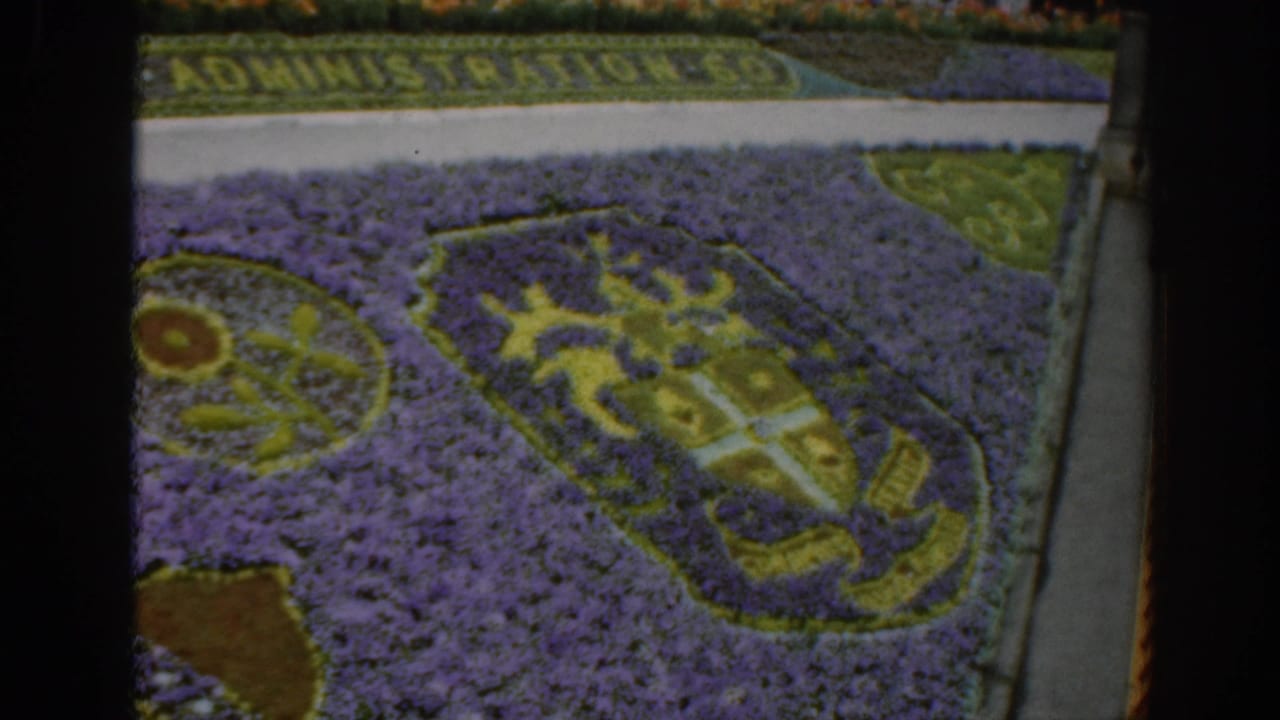 1961 Scotland garden display with a purple floral bed, shield emblem, yellow details, and distant “ADMINISTRATION” lettering.