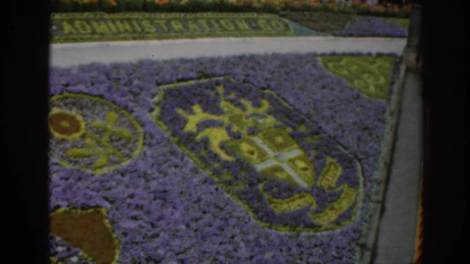 1961 Scotland garden display with a purple floral bed, shield emblem, yellow details, and distant “ADMINISTRATION” lettering.