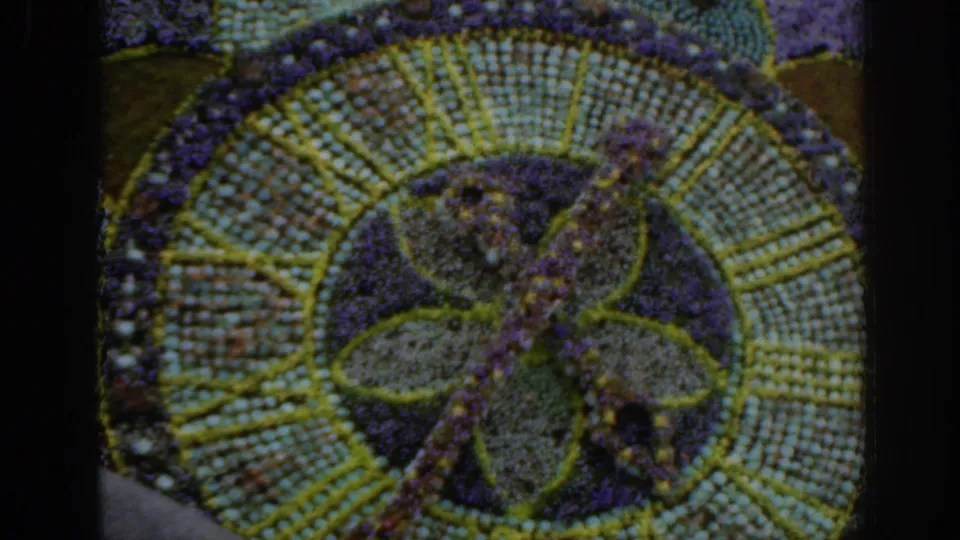 1961 Scotland garden display showing a circular floral design with radial pale planting and purple border flowers.