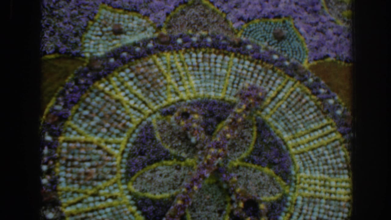 1961 Scotland 8mm frame with the floral mosaic shifted right, showing purple planting, pale green rings, and a dark frame edge.