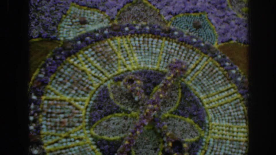 1961 Scotland 8mm frame with the floral mosaic shifted right, showing purple planting, pale green rings, and a dark frame edge.