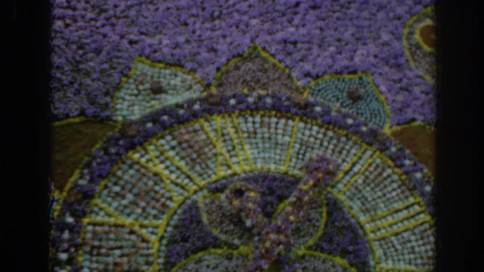1961 Scotland 8mm frame showing a lower view of the flower mosaic, with purple ground cover and curved green-yellow bands.