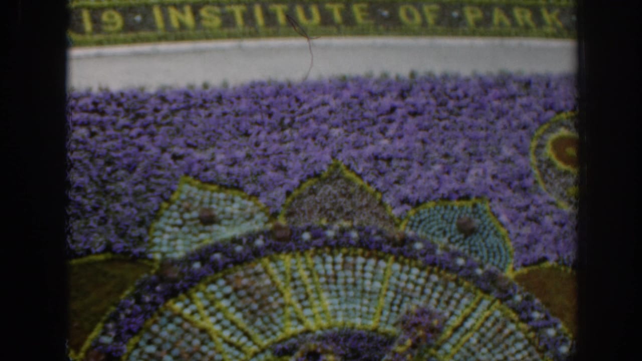 Close view of a floral carpet with purple flowers and planted lettering above it.