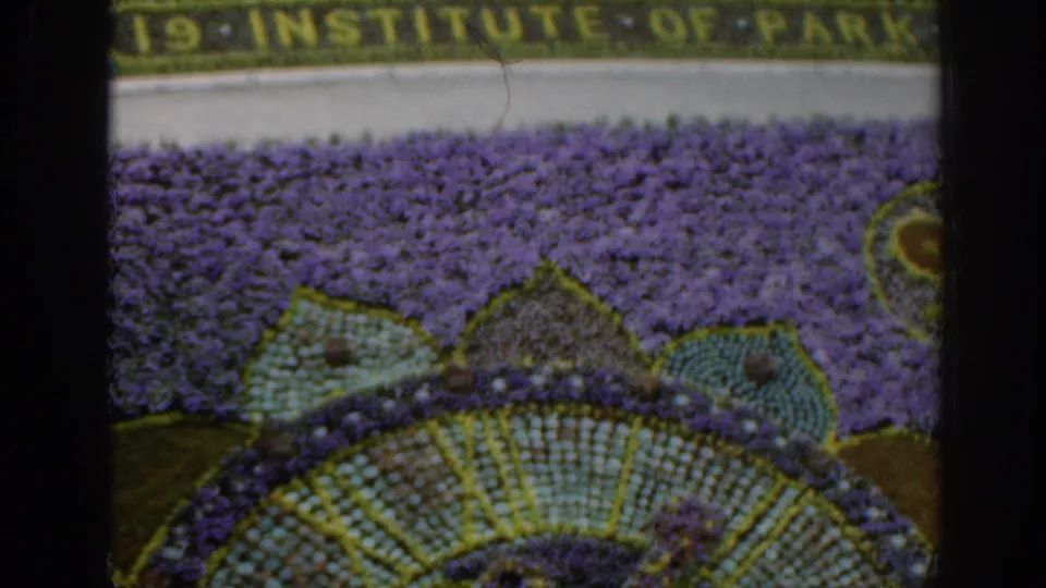 1961 Scotland 8mm frame showing a formal floral carpet, purple bedding plants, and partial planted lettering near a public park display.