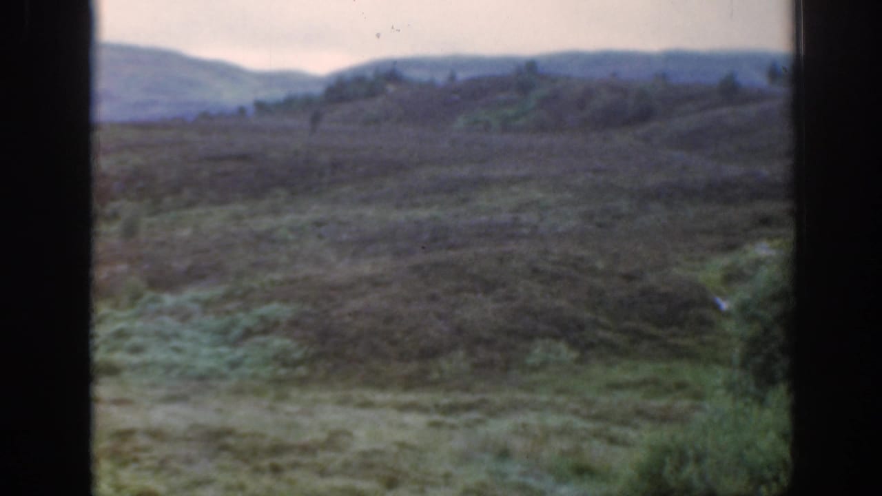 Soft 8mm view of open moorland pasture with distant hills under an overcast sky.