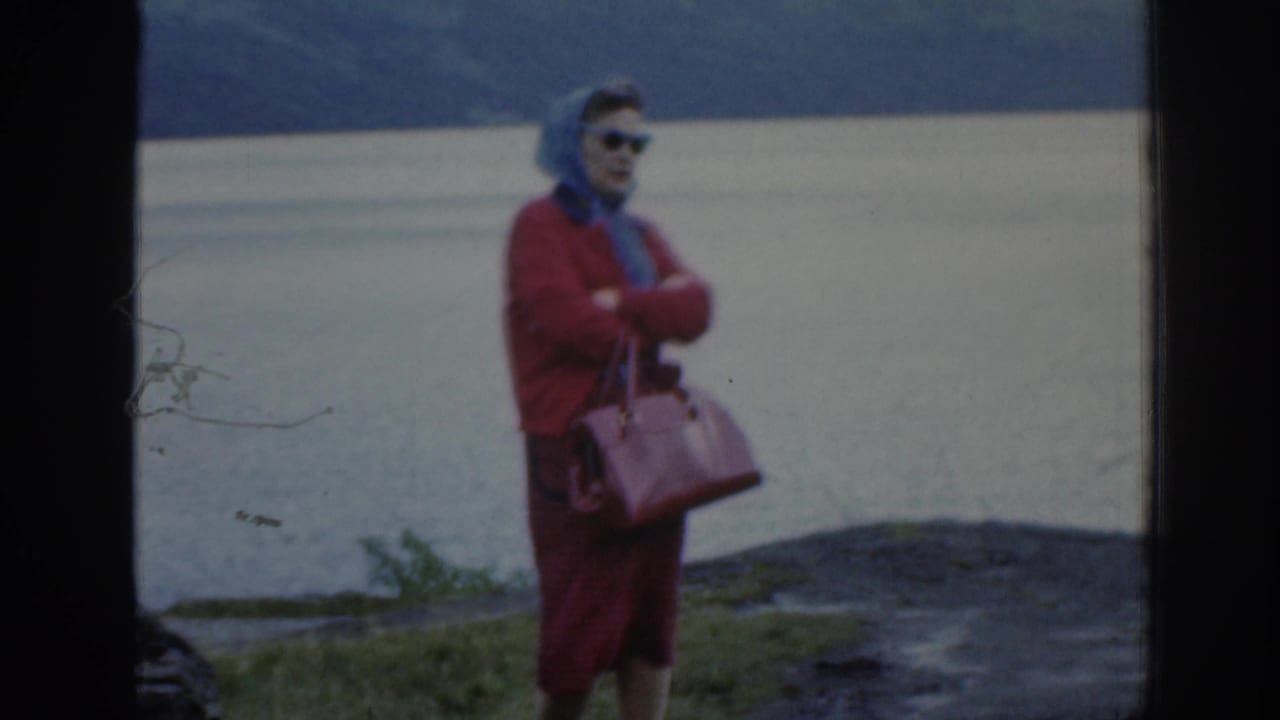 Woman with handbag stands near water and dark hills in the distance.