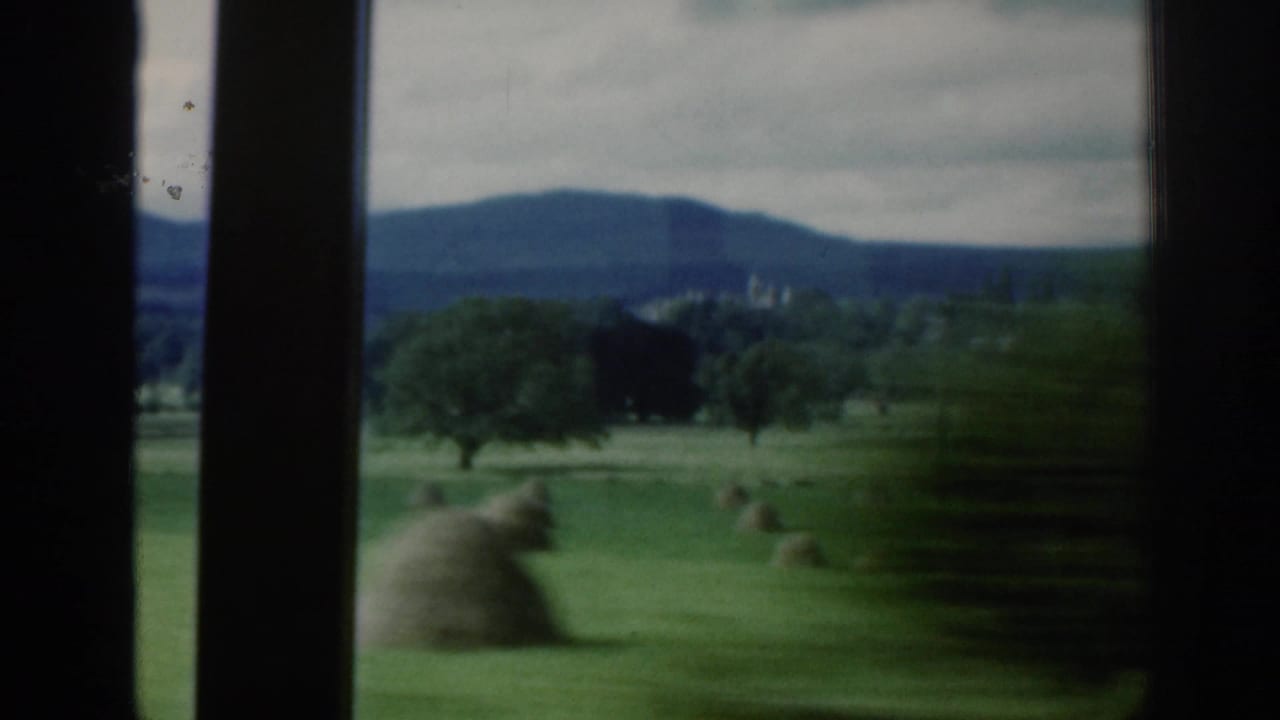 Rural green field with hay bales, trees, distant hills, and dark window bars in the foreground.