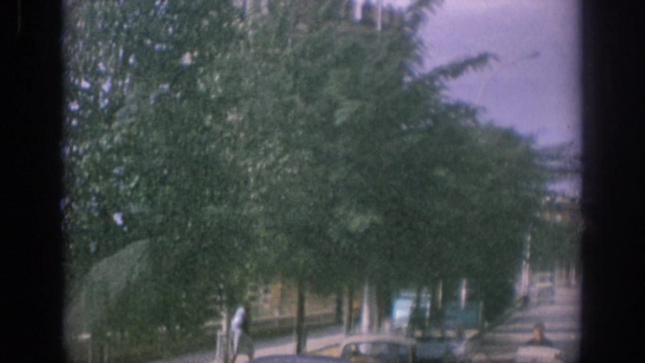 Tree-lined street with parked cars and pedestrians in the distance.