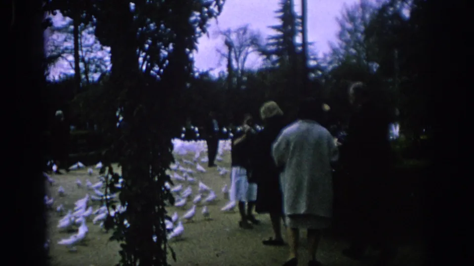 1966 Spain park scene with older adults standing near a large flock of white birds on the grass.