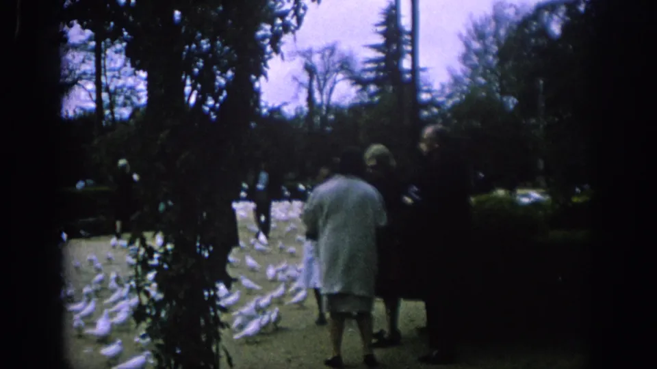 1966 Spain home-movie frame showing people in a park beside white birds under trees.
