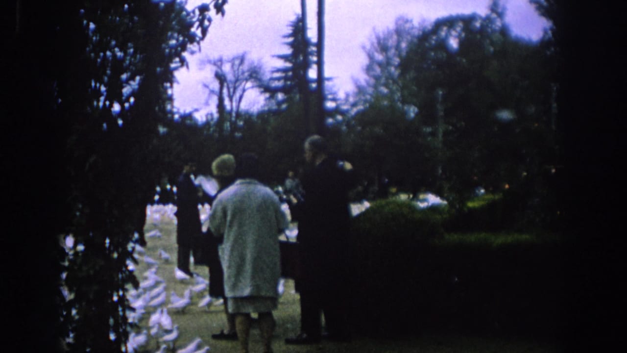 Bystanders watch white doves gathered around a woman in a park.