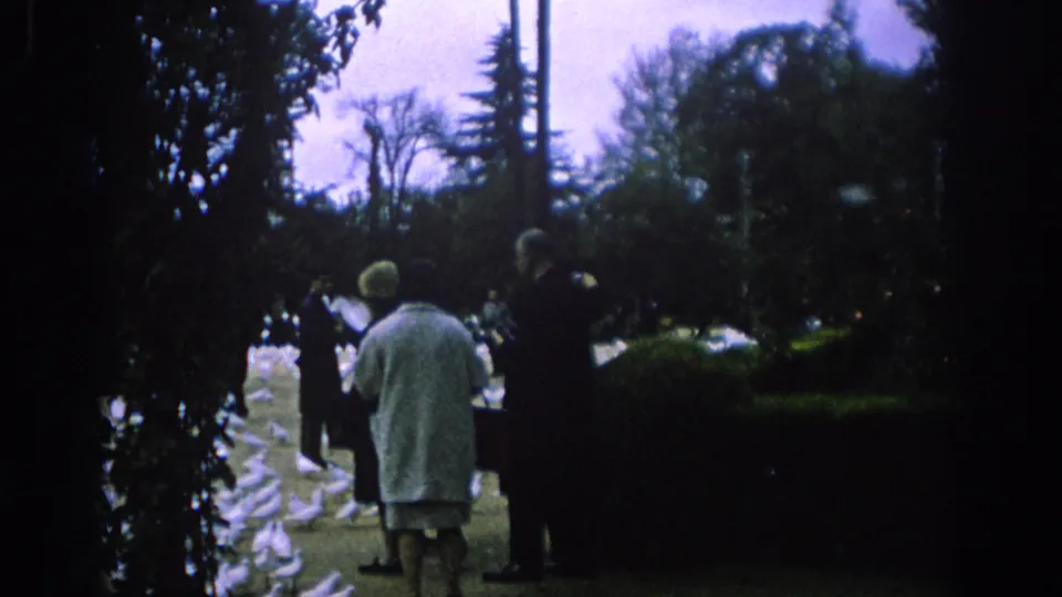 A 1966 Spain park scene shows people watching a woman in a light coat among many white doves on a path.