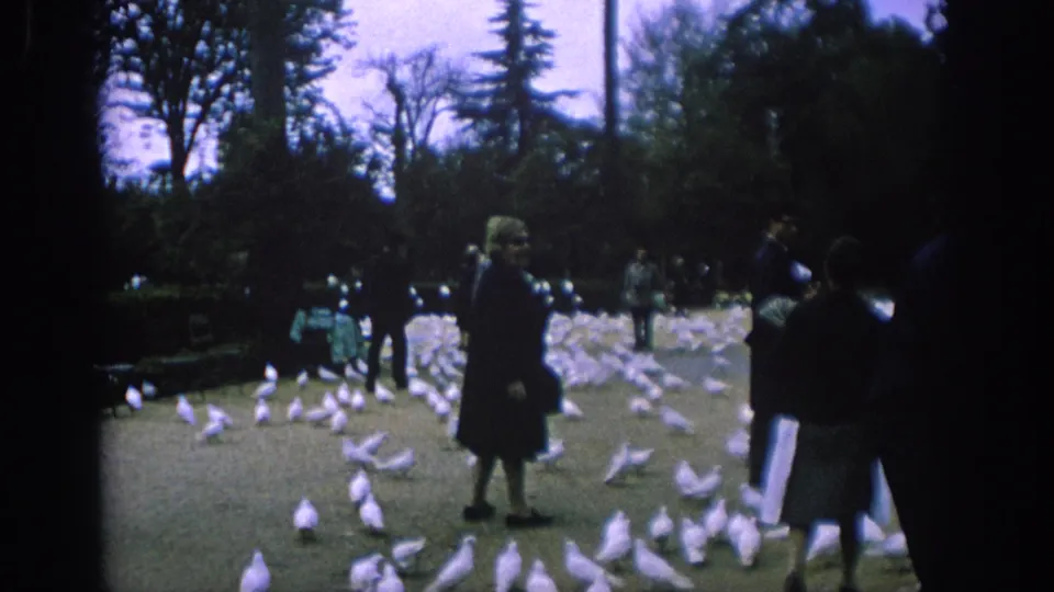 The home-movie frame shows a woman in a dark coat among white doves, with other visitors dispersed through a Spanish park.