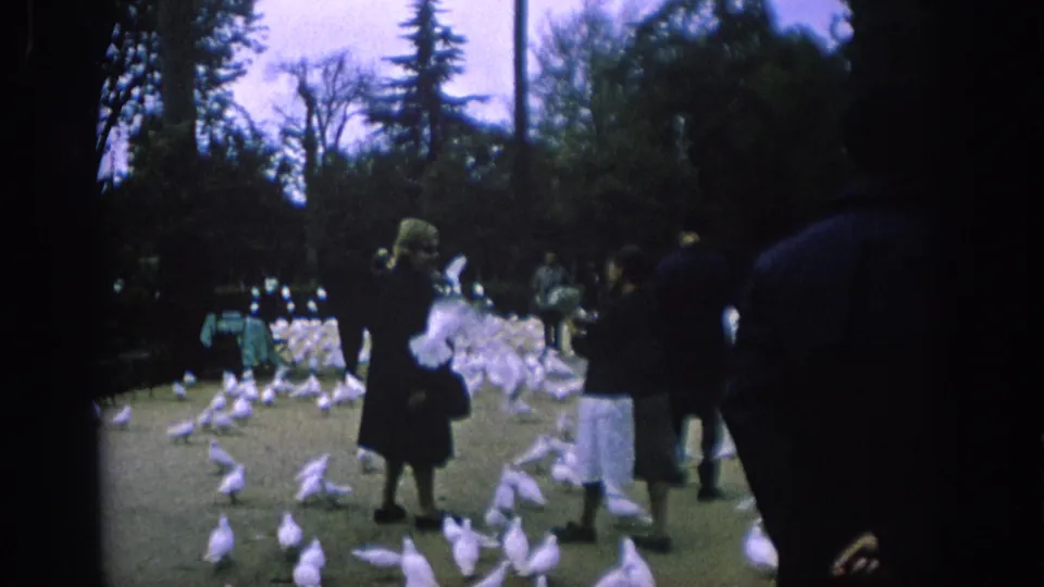 In the 1966 Spain footage, visitors pass through a shaded park as white doves scatter across the walkway.
