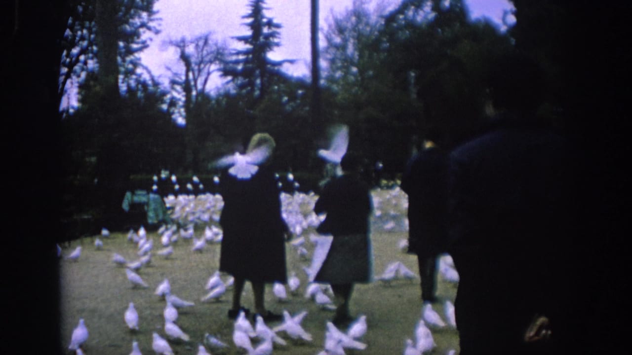 1966 Spain home-movie frame showing visitors in period dress feeding many white pigeons in a park.
