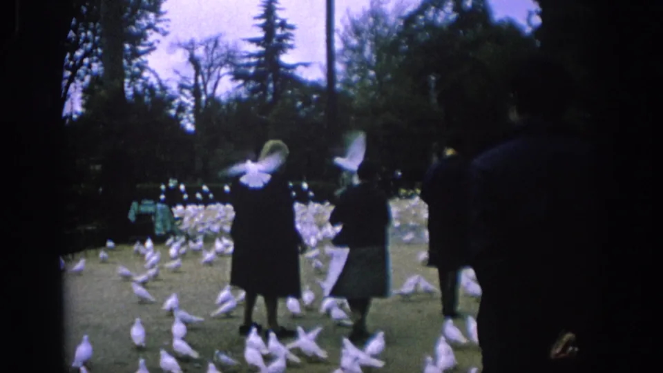 1966 Spain home-movie frame showing visitors in period dress feeding many white pigeons in a park.