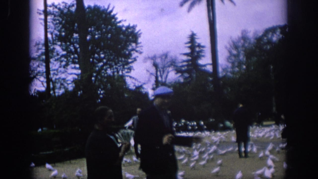 A man in a blue cap stands near pigeons and other park visitors.