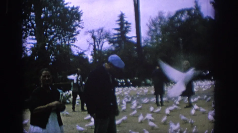 1966 Spain home-movie frame with a blurred pigeon crossing the foreground near park visitors.