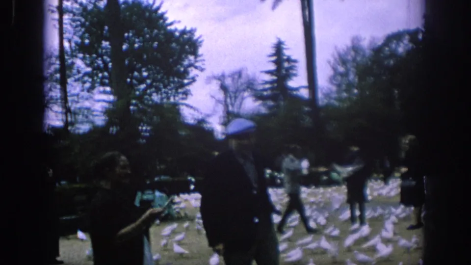 1966 Spain home-movie frame showing people standing among white pigeons under trees in a public park.
