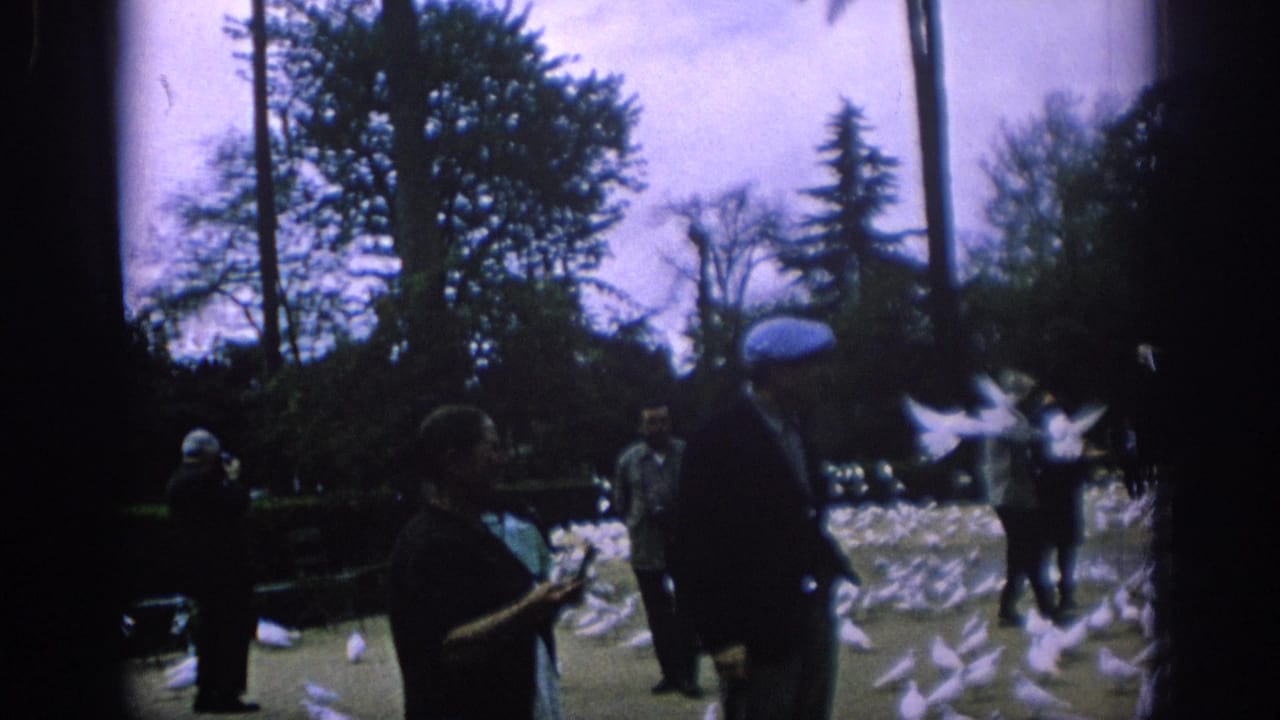 1966 Spain home-movie frame showing adults in a park with many white pigeons on the ground and in flight.