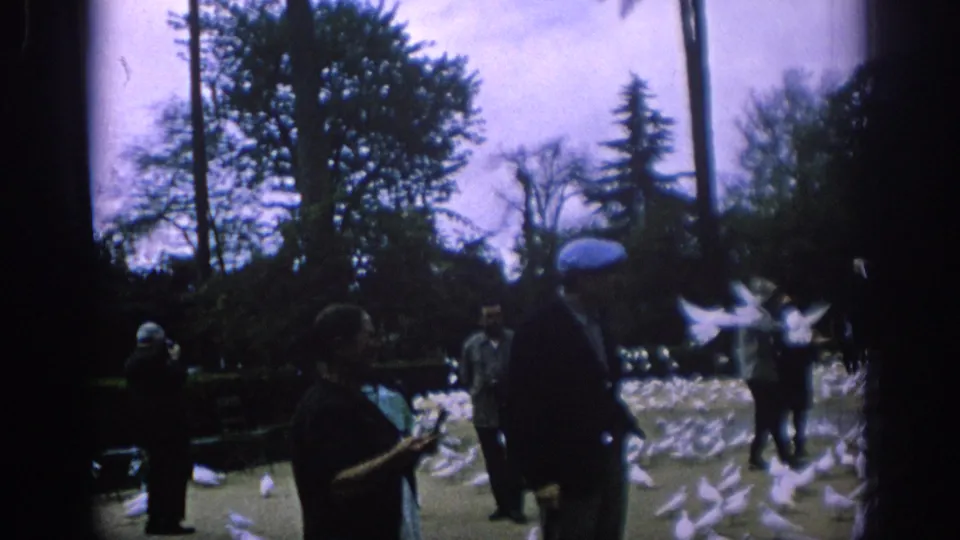 1966 Spain home-movie frame showing adults in a park with many white pigeons on the ground and in flight.