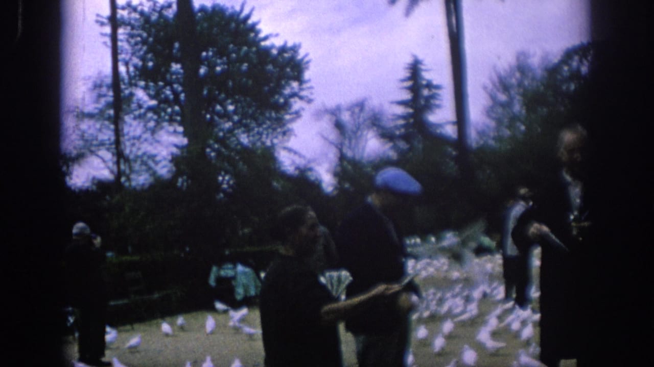 A man in a blue cap stands near pigeons while other park visitors pass behind him.