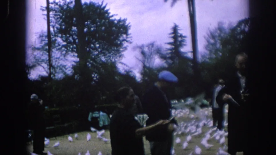 1966 Spain park scene with a man in a blue cap among white pigeons and several visitors in soft 8mm color.