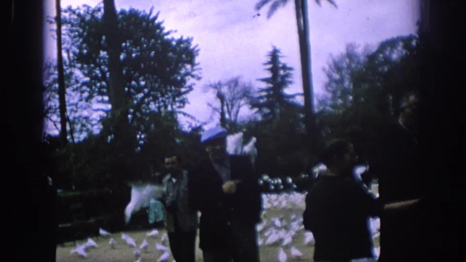 1966 Spain home-movie frame with white pigeons lifting off near adults in a shaded public park.