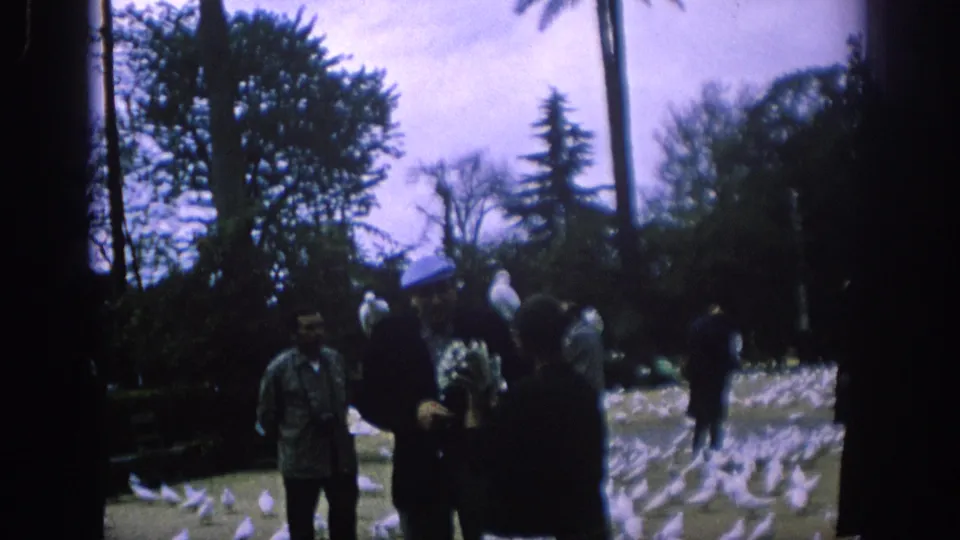 1966 Spain park frame showing visitors clustered near white pigeons, with trees and handheld 8mm framing.