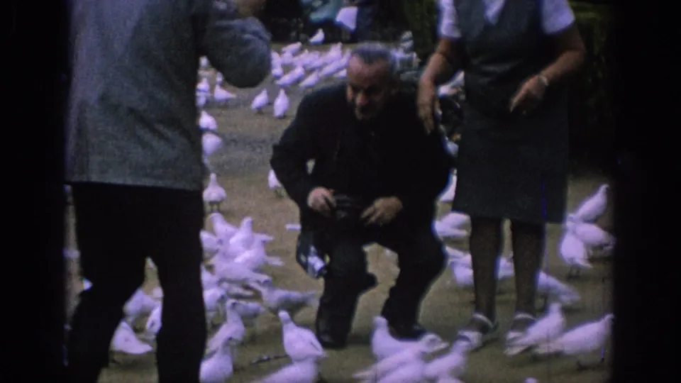 Tourists in 1966 Spain stand and crouch among a flock of white gulls in a landscaped outdoor area.