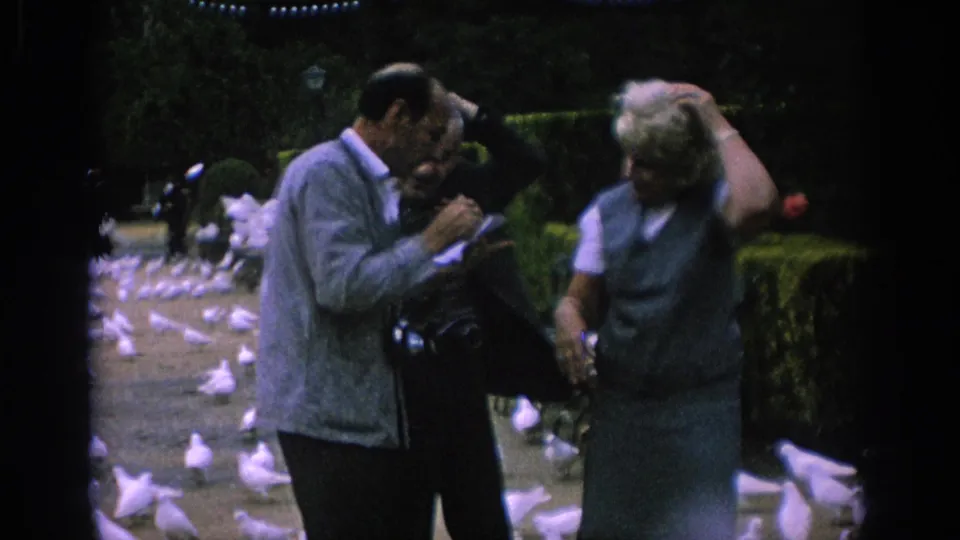 Adults at a Spanish resort garden interact with a flock of gulls in a 1966 8mm home-movie frame.