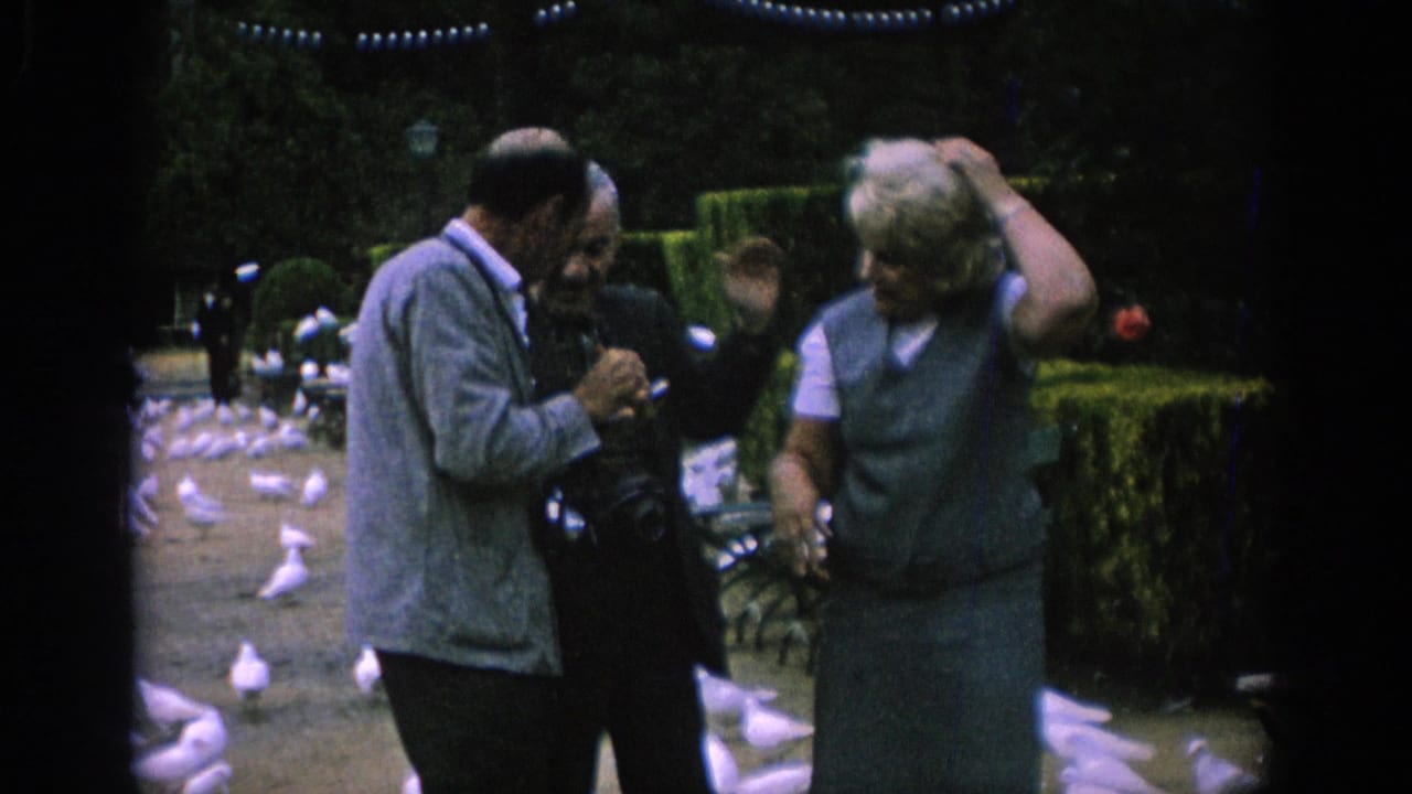 In Spain, 1966, adults stand talking near benches and white pigeons in a shaded park garden.